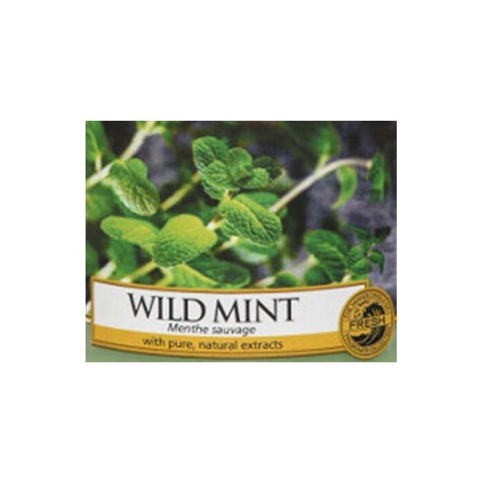 Yankee Candle Wild Mint Tea Lights-1